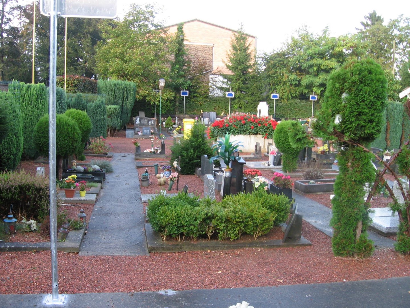 Photo 7